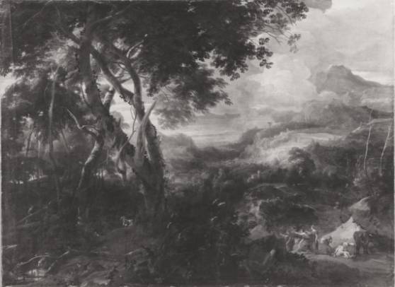 Panoramic Landscape