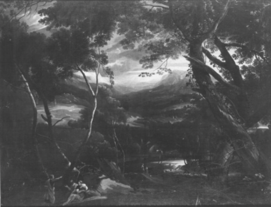 Ideal Landscape Ideal Landscape