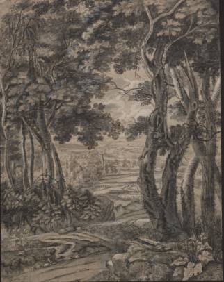 Landscape with Trees in the Foreground 