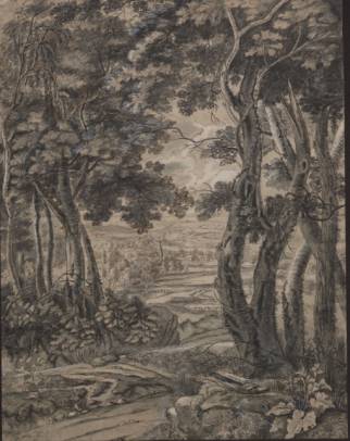 Landscape with Trees in the Foreground 