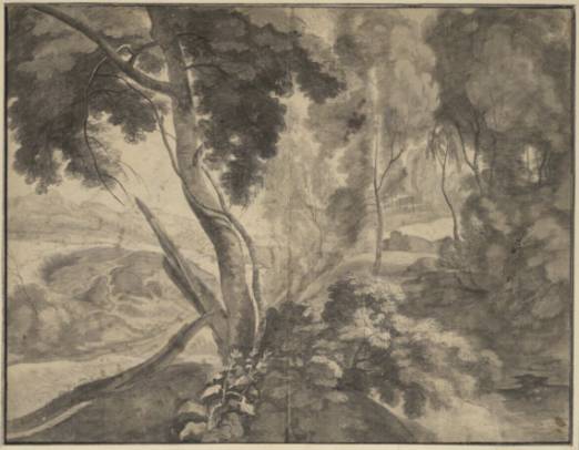 Forest Interior with a View of a Hilly Landscape