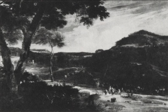 Extensive Landscape Extensive Landscape