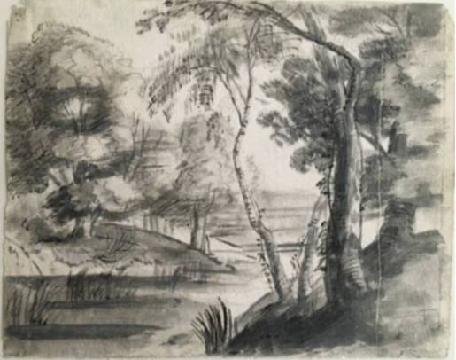 River Landcape