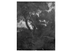 Work 5007: Landscape