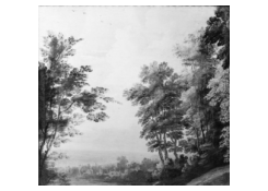Work 5025: Landscape