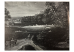 Work 5068: Forest Edge
