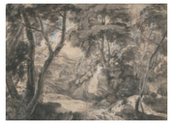 Work 5113: Forest Landscape