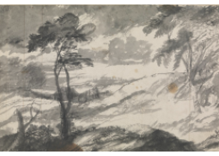 Work 5114: Landscape