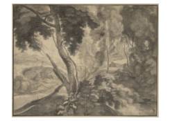 Forest Interior with a View of a Hilly Landscape