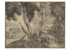 Work 5256: Forest Interior with a View of a Hilly Landscape