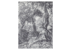 Work 5266: Landscape with Trees