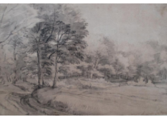 Work 569: Woody Landscape with Road 