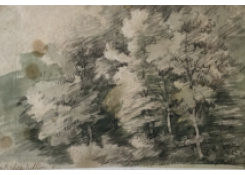 Work 945: Foliage