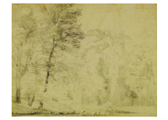 Work 946: Forest View