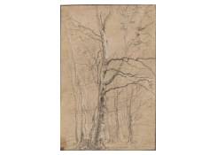 Work 947: A Copse of Birches in Winter