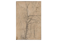 Work 947: A Copse of Birches in Winter